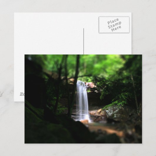 Cucumber Herfsten zomer Briefkaart (Voorkant / Achterkant)