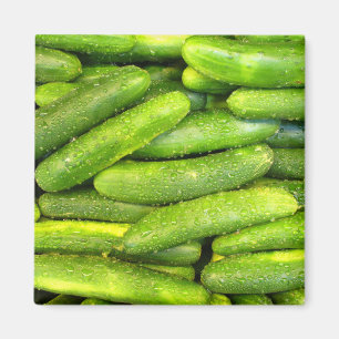 Cucumber Magnet 01