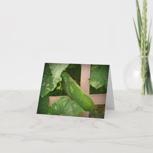 Cucumber Notecard Kaart (Voorkant)