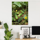 Cucumber Patch Poster (in verschillende formaten) (Thuiskantoor)
