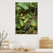 Cucumber Patch Poster (in verschillende formaten) (Keuken)