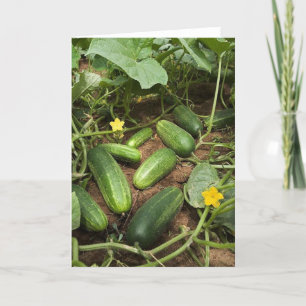 Cucumber Patch Wenskaart Kaart