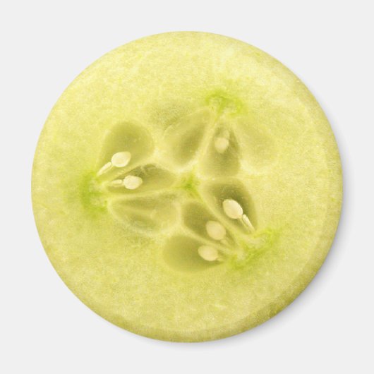 Cucumbersegment Magneet (Voorkant)