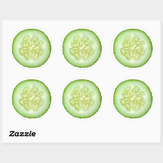 Cucumbersegment Ronde Sticker (Vel)