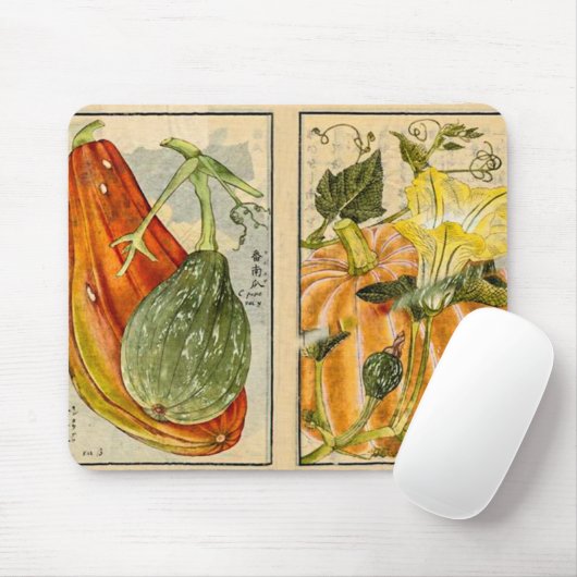 Cucurbita Pepo - kunst van Seikei Zusetsu Muismat (Met muis)