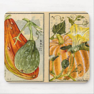 Cucurbita Pepo - kunst van Seikei Zusetsu Muismat