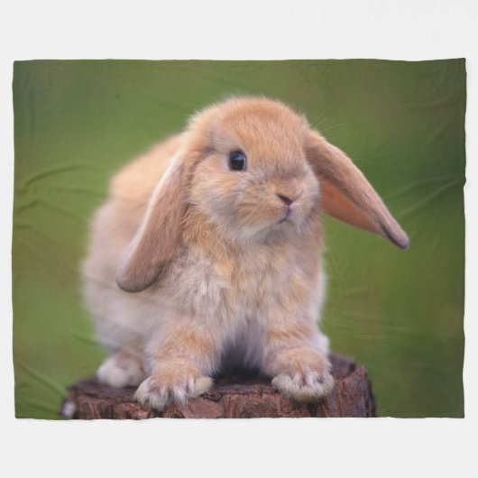 CUDDLE BUNNY FLEECE DEKEN (Voorkant (Horizontaal))