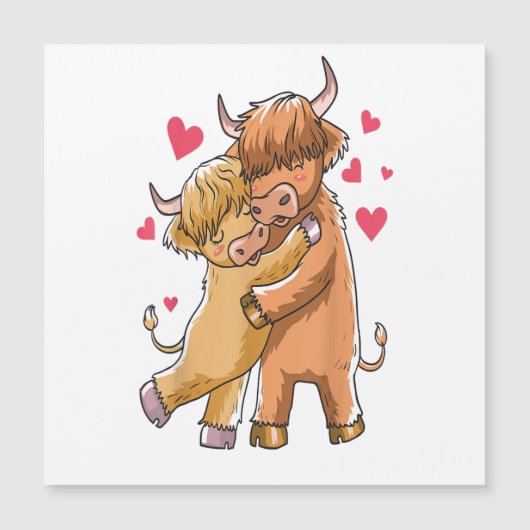 Cuddle Highland Cattle I Scottish Koe Farmers (Voorkant)
