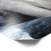 Cuddles Foto Afdruk (Hoek)