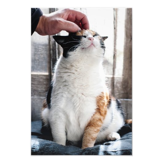 Cuddles Foto Afdruk (Voorkant)