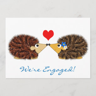 Cuddley Hedegs We zijn hier Aankondiging