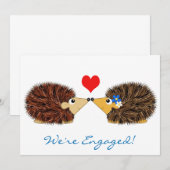 Cuddley Hedegs We zijn hier Aankondiging (Voorkant / Achterkant)