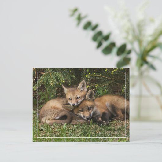 Cuddling Fox Kits Briefkaart (Staand voorkant)
