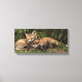 Cuddling Fox Kits Canvas Afdruk (Voorkant)