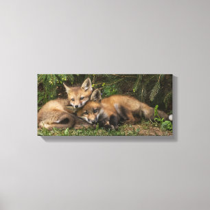 Cuddling Fox Kits Canvas Afdruk