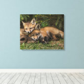 Cuddling Fox Kits Canvas Afdruk (Insitu (Houten vloer))