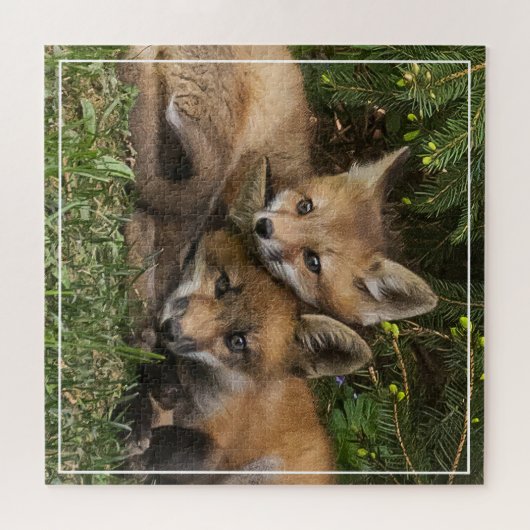Cuddling Fox Kits Legpuzzel (Horizontaal)