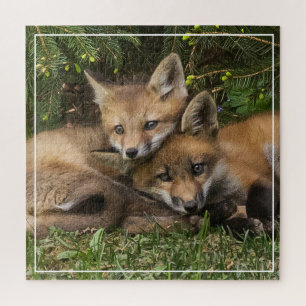 Cuddling Fox Kits Legpuzzel