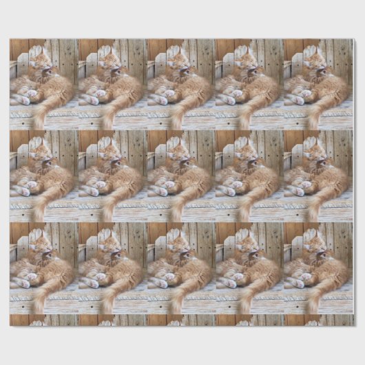 Cuddling Kittens Cadeaupapier (Vlak)