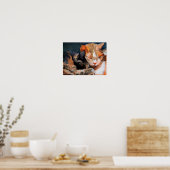 Cuddling Kittens Calico en Tan Poster (Keuken)