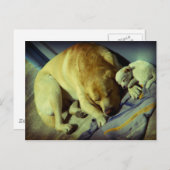 Cuddling Labrador en puppy Briefkaart (Voorkant / Achterkant)