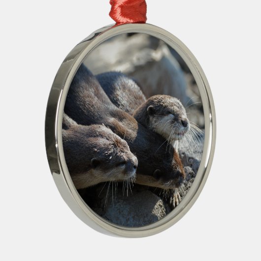 Cuddling Otters Metalen Ornament (Rechts)