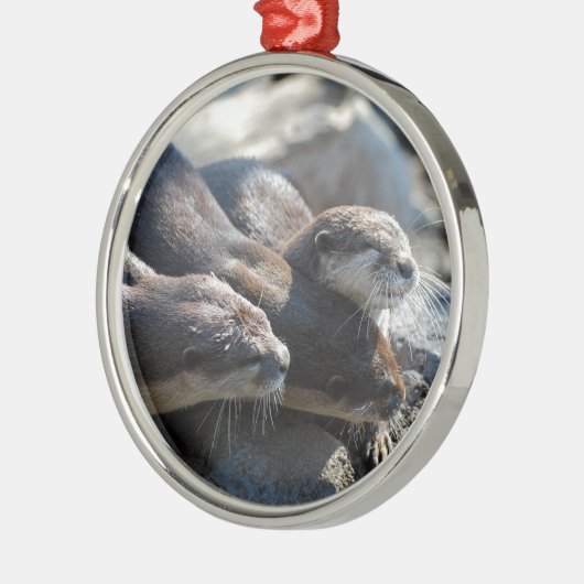 Cuddling Otters Metalen Ornament (Links)