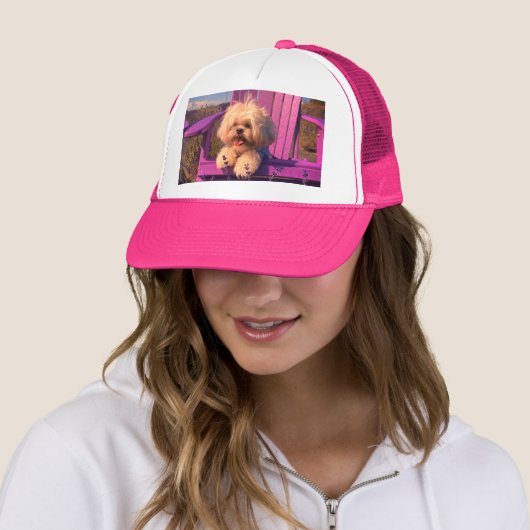 Cuddly Curious Shih Tzu Puppy, Dog Relaxing Trucker Pet (In situ)