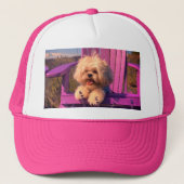 Cuddly Curious Shih Tzu Puppy, Dog Relaxing Trucker Pet (Voorkant)