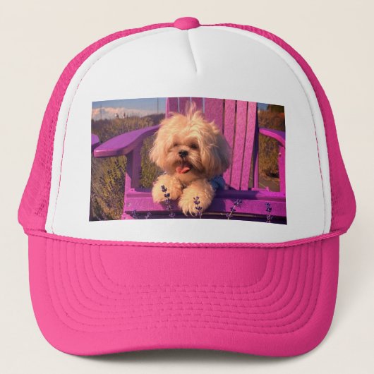 Cuddly Curious Shih Tzu Puppy, Dog Relaxing Trucker Pet (Voorkant)