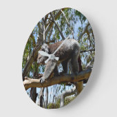 Cudly Big Male Australian Koala, Grote Klok (Hoek)