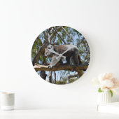 Cudly Big Male Australian Koala, Grote Klok (Huis)