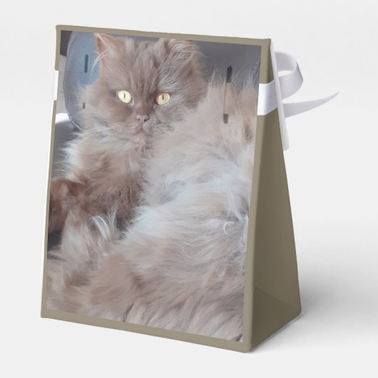 Cudly Cat Bedankdoosjes (Achterkant)