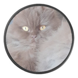 Cudly Cat Hockey Puck