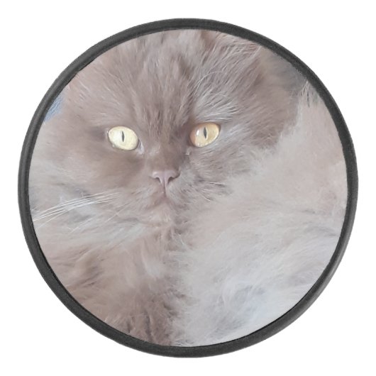 Cudly Cat Hockey Puck (Voorkant)