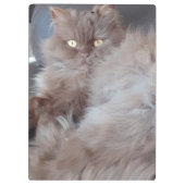 Cudly Cat Klembord (Achterkant)