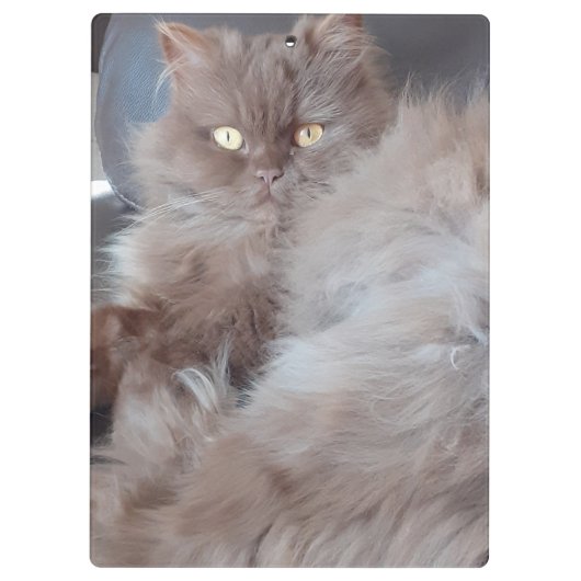 Cudly Cat Klembord (Achterkant)