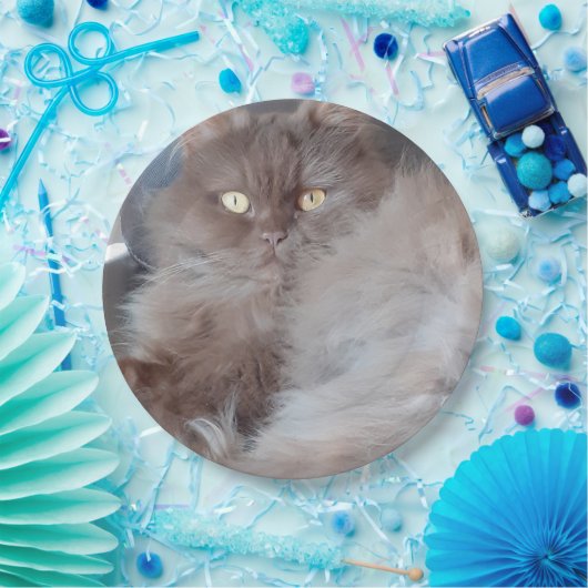 Cudly Cat Papieren Bordje (Feest)