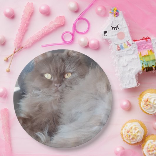 Cudly Cat Papieren Bordje (Feest)