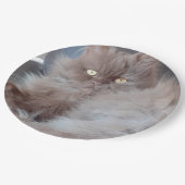 Cudly Cat Papieren Bordje (Gekanteld)