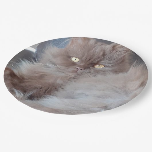 Cudly Cat Papieren Bordje (Gekanteld)