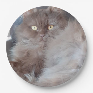 Cudly Cat Papieren Bordje