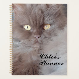 Cudly Cat Planner