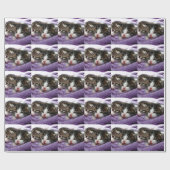 Cudly Kittens Cadeaupapier (Vlak)