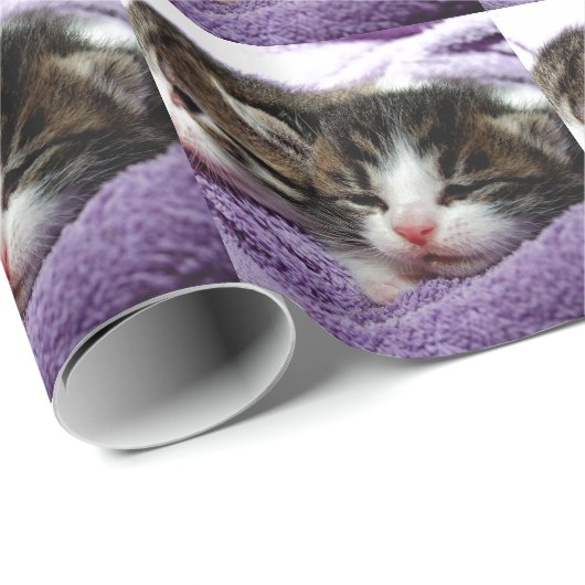 Cudly Kittens Cadeaupapier (Rol Hoek)