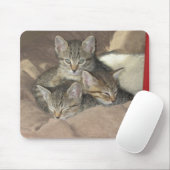 Cudly Kittens Muismat (Met muis)