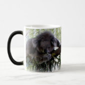 Cudly Koala Magische Mok (Links)