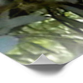 Cudly Koala Poster (Hoek)