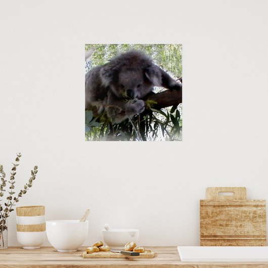 Cudly Koala Poster (Keuken)