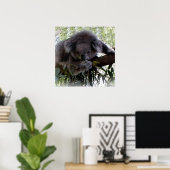 Cudly Koala Poster (Thuiskantoor)